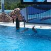 20130716_042302_P1050604