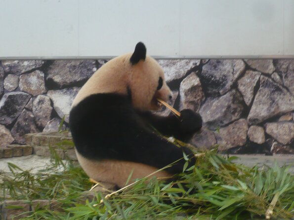 20130716_050219_P1050609