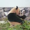 20130716_050224_P1050610