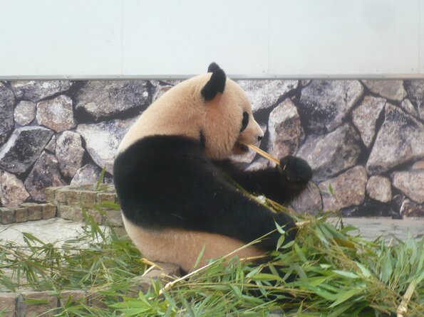 20130716_050224_P1050610