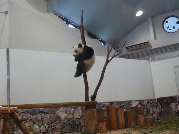 20130716_050407_P1050611
