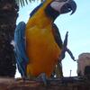 20130716_054724_P1050623