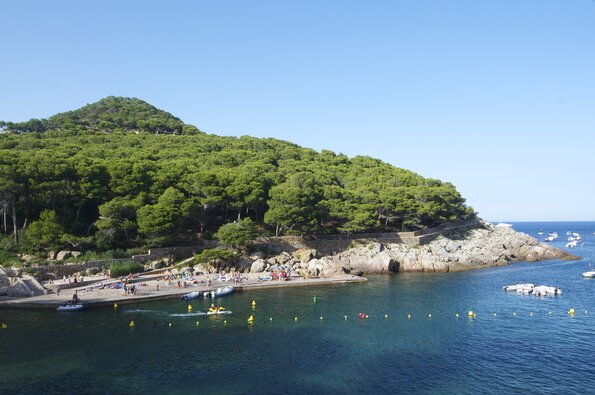 20130804_184243_PIC_5710