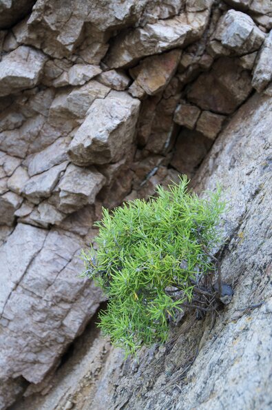 20130804_191632_PIC_5726