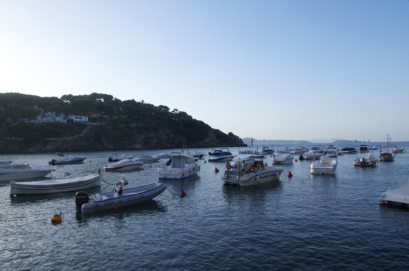 20130804_200257_PIC_5773