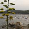 20130805_201112_PIC_5855