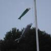 20130805_211138_P1050806