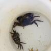 20130806_200422_PIC_6015