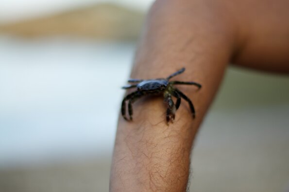 20130806_200504_PIC_6017