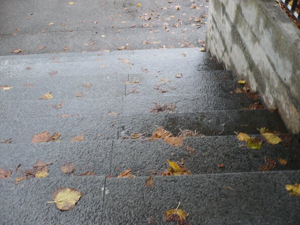 20131120_155036_P1050881