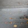 20131120_155040_P1050882