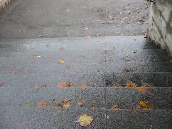 20131120_155040_P1050882