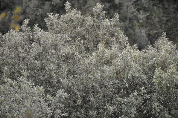 DSC_0361
