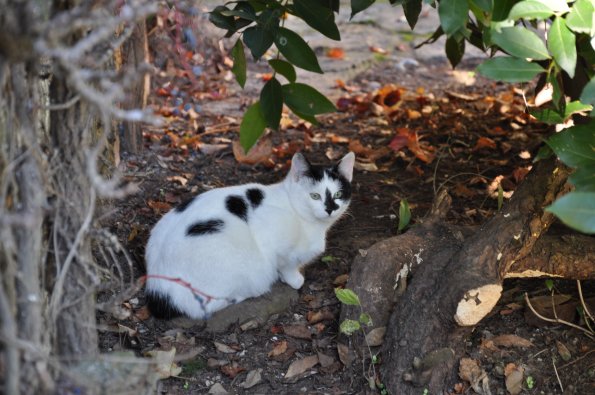 20141226_115617_DSC_0404