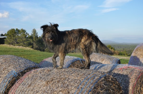 20151228_161016_DSC_3403