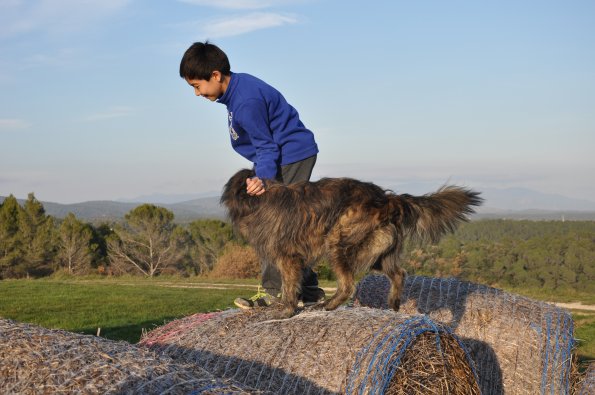 20151228_161028_DSC_3404