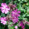 20210519_141803